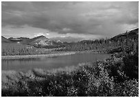 Alatna River valley near Circle Lake, evening. Gates of the Arctic National Park ( black and white)
