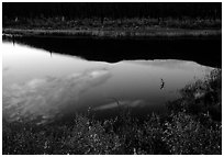 Alatna River reflections, sunset. Gates of the Arctic National Park ( black and white)