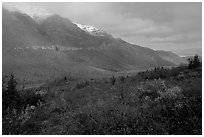 Shrubs and mountains in mist. Gates of the Arctic National Park ( black and white)