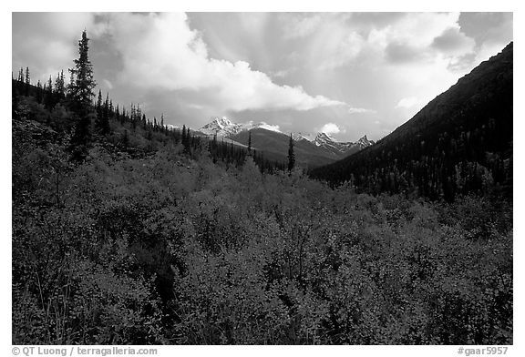 Distant Arrigetch Peaks seen from Arrigetch Creek. Gates of the Arctic National Park, Alaska, USA.
