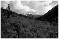 Distant Arrigetch Peaks seen from Arrigetch Creek. Gates of the Arctic National Park ( black and white)