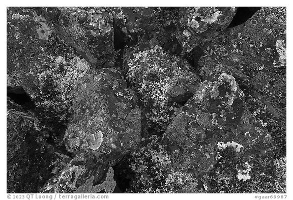 Close-up of dark rocks covered with moss and lichen. Gates of the Arctic National Park (black and white)