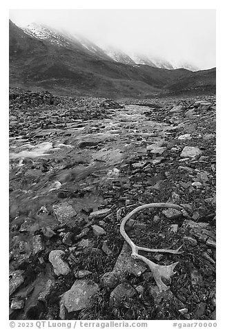 Antler, creek, and continental divide peaks. Gates of the Arctic National Park (black and white)