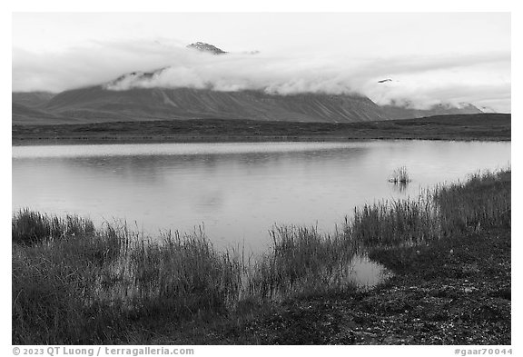 Pond and mountain above Anaktuvuk Pass, rain. Gates of the Arctic National Park (black and white)