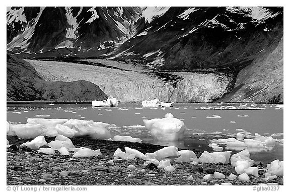 Mc Bride glacier, Muir inlet. Glacier Bay National Park (black and white)