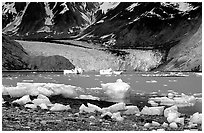 Mc Bride glacier, Muir inlet. Glacier Bay National Park ( black and white)