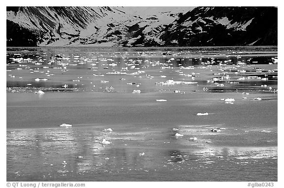 Icebergs and reflections, West arm. Glacier Bay National Park (black and white)