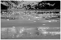 Icebergs and reflections, West arm. Glacier Bay National Park ( black and white)