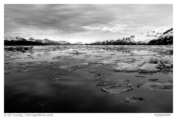 Ice-choked waters, West arm. Glacier Bay National Park (black and white)