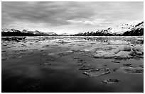 Ice-choked waters, West arm. Glacier Bay National Park ( black and white)
