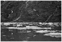 Icebergs and waterfalls, West arm. Glacier Bay National Park, Alaska, USA. (black and white)