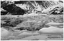 Ice-chocked waters in John Hopkins inlet. Glacier Bay National Park, Alaska, USA. (black and white)
