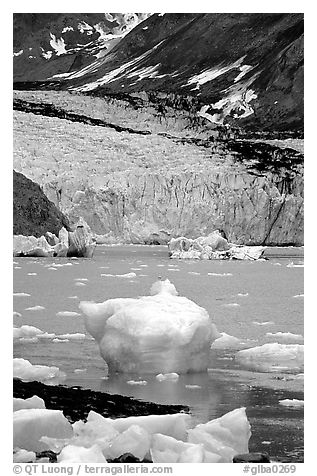 Mc Bride glacier. Glacier Bay National Park, Alaska, USA.