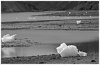 Icebergs and mud flats near Mc Bride glacier. Glacier Bay National Park ( black and white)
