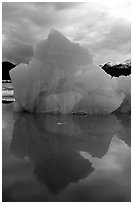 Blue iceberg, Mc Bride inlet. Glacier Bay National Park ( black and white)