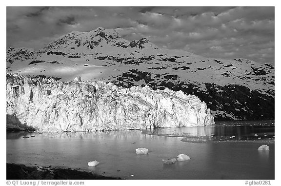 Lamplugh tidewater glacier and Mt Cooper. Glacier Bay National Park (black and white)
