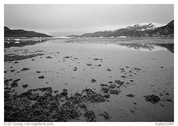 Mud flats near Mc Bride glacier, Muir inlet. Glacier Bay National Park (black and white)