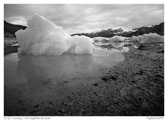 Blue icebergs beached near Mc Bride Glacier. Glacier Bay National Park (black and white)