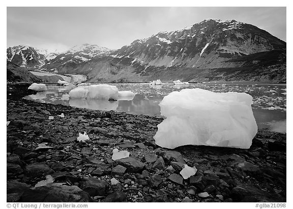 Icebergs and algae-covered rocks, Mc Bride inlet. Glacier Bay National Park (black and white)