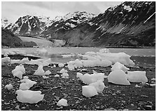 Beached icebergs and McBride Glacier. Glacier Bay National Park ( black and white)