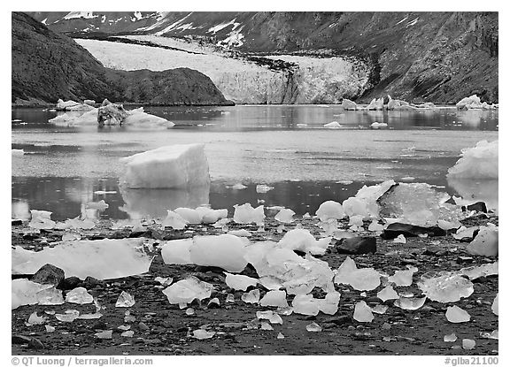 Icebergs and McBride Glacier. Glacier Bay National Park (black and white)