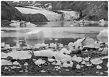 Icebergs and McBride Glacier. Glacier Bay National Park ( black and white)