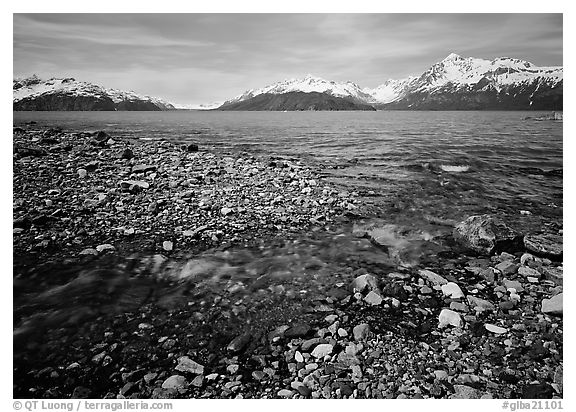 Stream and West arm. Glacier Bay National Park (black and white)