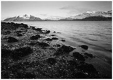 West Arm, sunset. Glacier Bay National Park ( black and white)