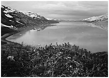West arm seen from the entrance of John Hopkins inlet. Glacier Bay National Park ( black and white)