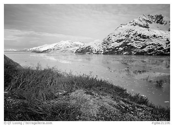 Snowy mountains and icy fjord seen from high point, West Arm. Glacier Bay National Park (black and white)