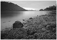 Charpentier inlet. Glacier Bay National Park ( black and white)