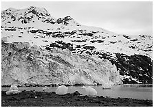 Lamplugh glacier and Mt Cooper. Glacier Bay National Park ( black and white)