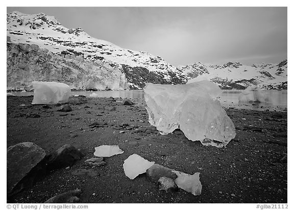 Translucent icebergs at the base of Lamplugh Glacier, morning. Glacier Bay National Park (black and white)