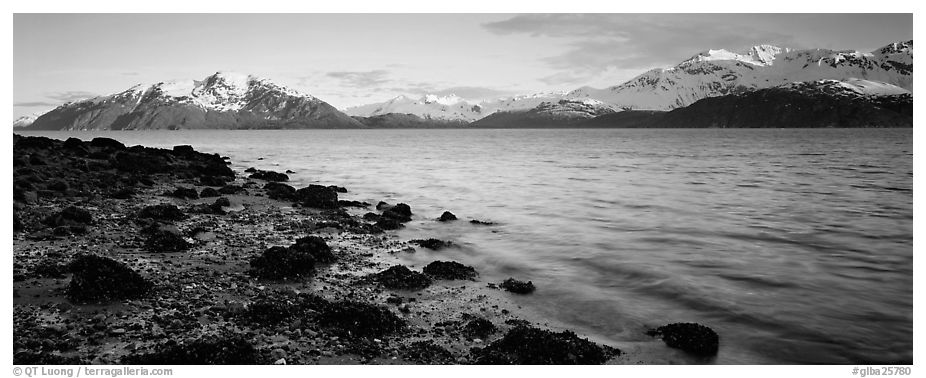 Fjord landscape with mountains rising above inlet. Glacier Bay National Park (black and white)