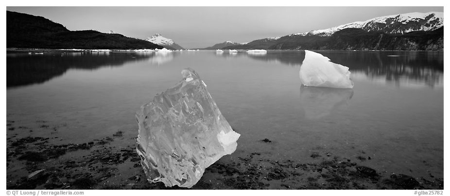 Transluscent iceberg at dawn. Glacier Bay National Park (black and white)