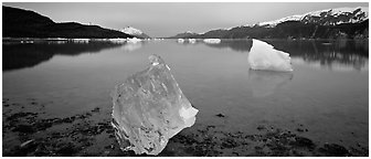 Transluscent iceberg at dawn. Glacier Bay National Park (Panoramic black and white)