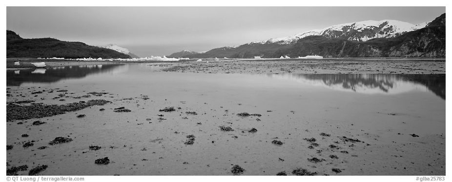 Tidal flat with icebergs in the distance. Glacier Bay National Park (black and white)