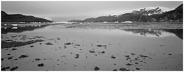 Tidal flat with icebergs in the distance. Glacier Bay National Park (Panoramic black and white)