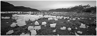Landscape with beached icebergs. Glacier Bay National Park (Panoramic black and white)