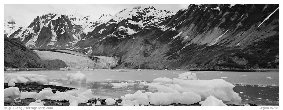Coastal scenery with icebergs and tidewater glacier. Glacier Bay National Park (black and white)