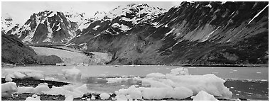Coastal scenery with icebergs and tidewater glacier. Glacier Bay National Park (Panoramic black and white)