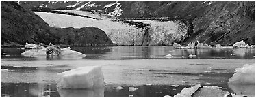 Glacier front and inlet. Glacier Bay National Park (Panoramic black and white)