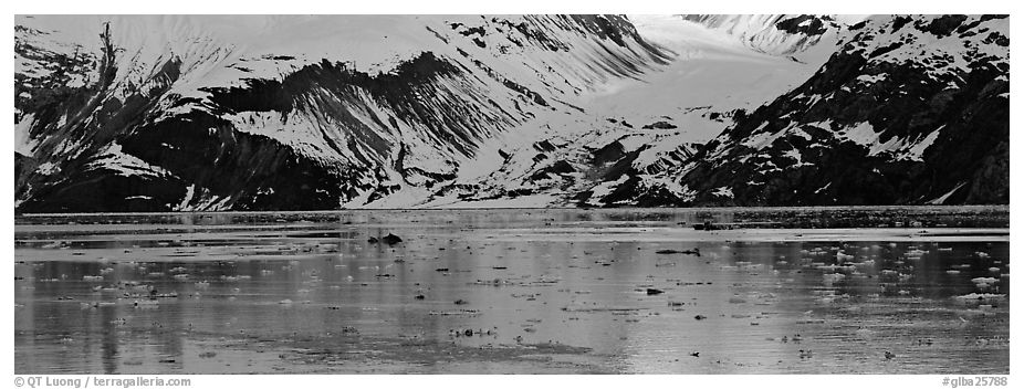 Snowy slopes reflected in ice-chocked waters. Glacier Bay National Park (black and white)