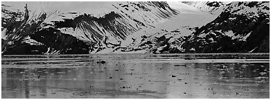 Snowy slopes reflected in ice-chocked waters. Glacier Bay National Park (Panoramic black and white)