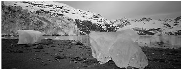 Beach iceberg and tidewater glacier front. Glacier Bay National Park (Panoramic black and white)