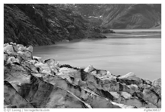 Lamplugh glacier and turquoise bay waters. Glacier Bay National Park (black and white)