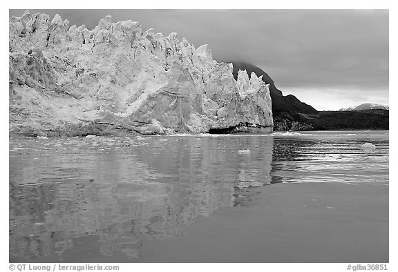Margerie Glacier reflected in Tarr Inlet. Glacier Bay National Park (black and white)
