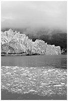Icebergs, Margerie Glacier, and fog. Glacier Bay National Park ( black and white)