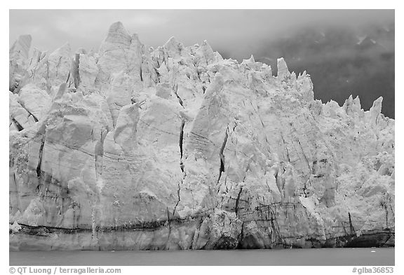 Blue ice on the tidewater terminus of Margerie Glacier. Glacier Bay National Park (black and white)