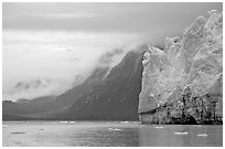 Margerie Glacier and foggy mountains surrounding Tarr Inlet. Glacier Bay National Park, Alaska, USA. (black and white)